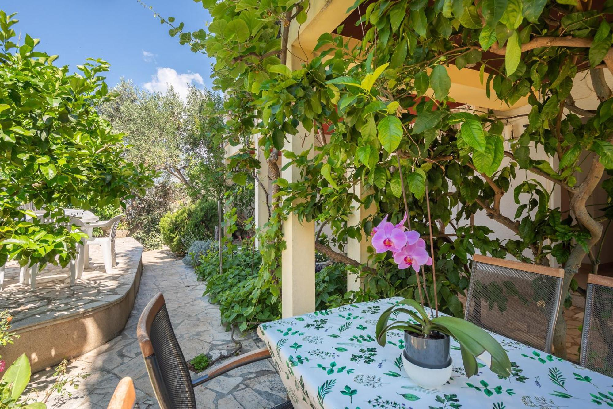 Apartments Roza أوميس المظهر الخارجي الصورة